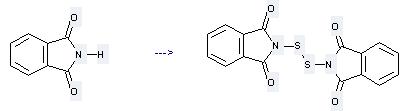 1H-Isoindole-1,3(2H)-dione,2,2'-dithiobis- can be prepared by phthalimide at the temperature of 0°C